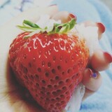 ___benbuerxiaojie