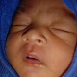 bili_1902991281