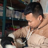 erleixiu___xiugou