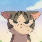 ayuepaozi