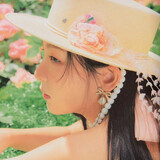 haochidezicaibaofan