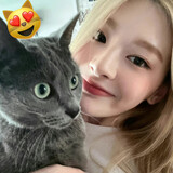 -xiaocaiyidie-