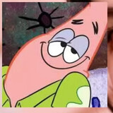 pauddcs