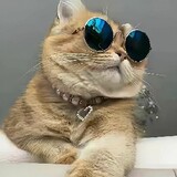 yizhi_ju___ya