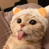pufu-qi___in