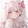 bili_2037243121