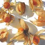bideyifan