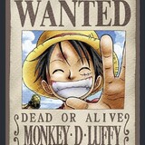 funny ML_9266