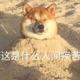 lianghahahahaha