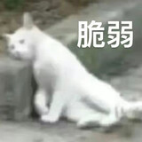 guowangxuzhang