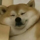 xianrentangmu___