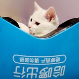 habozhuiche