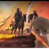 Khalid_Kashmiri_cat_worrior