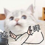 heimiaodeyu
