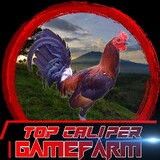 TopCaliperGamefarm