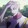 killua_ireng