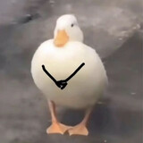 rananran1