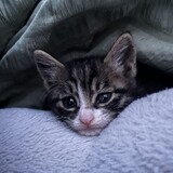 hoshirisa_03_02