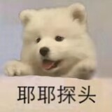 yanyanaidongman