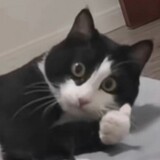 wumingname1ess