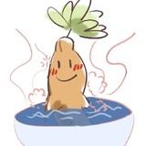 __liangcanpaoreshuige