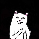 mewshow1