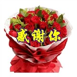 wujincanghaixiaoyilong