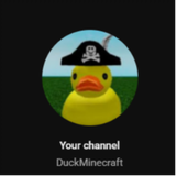 The minecraft guy