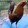 Frank Tinguey_2102