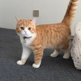 xiatiandechangxiang6