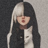 anime.xin