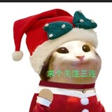 c___msdaoge