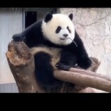 huainanyue