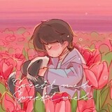 ursa-minor-z