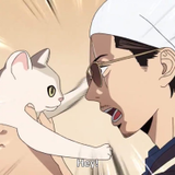 c-cat meaw