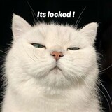LikeAking