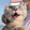 chunfengruako_