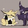 Jolteon and Umbreon