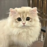 yishao______fen