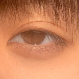 menghu_とら