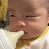 shuizebaobariji
