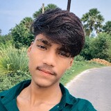 ankit liv