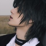 stellate_0313