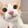 zzbaichideng-