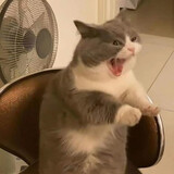 _____ianhenpiaoliang