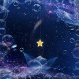 weiyuのル