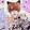 _yanyishi