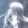 Akira_GMV