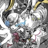 xiaoshaofeng________