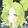 xiaoのyu